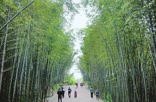 竹林小区新闻爆料最新,业主抗议引发社区关注