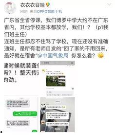 网友爆料教程视频大全最新,全网热传！网友爆料最新教程视频大全汇总