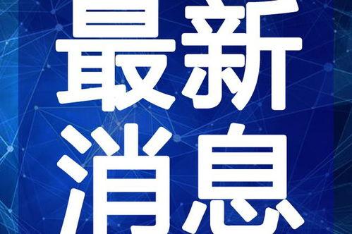 最新战队爆料新闻视频下载,揭秘神秘视频背后的真相与内幕