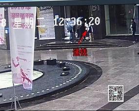 文山凯凯最新细节爆料,揭秘项目细节与进展